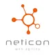 Neticon