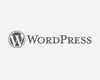 Wordpress Plugin