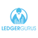 LedgerGurus