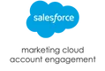 Salesforce Marketing Cloud Account Engagement (formerly Pardot)