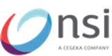 NSI IT Software & Services