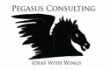 Pegasus Consulting Srl