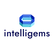 Intelligems