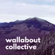 Wallabout Collective