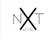 NXT Level Holdings
