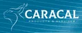 Caracal Products & Services
