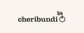 Cheribundi