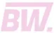 Bold Woman Brand
