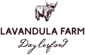 Lavandula Farm