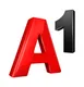 A1