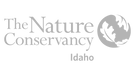 The Nature Conservancy