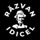 Razvan Idicel