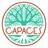Capaces Leadership Institute
