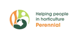 Perennial