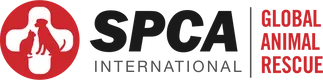 SPCA International