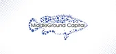 MiddleGround Capital