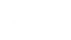 Metal Bird