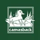 Canvasback