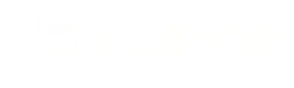 Ninja Van