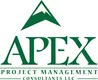 Apex Strategy Consultants