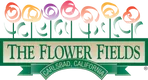 The Flower Fields