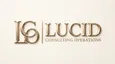 Lucid Consulting Operations