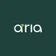 Aria CFO Advisors