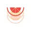 Bloom Digital Agency LLC