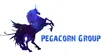 Pegacorn Group LLC