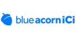 Blue Acorn iCi, Inc.