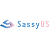 Sassyman Technologies