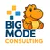 Big Mode Consulting