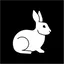 White Rabbit Group