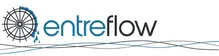 Entreflow Consulting Group