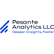 Pesante Analytics LLC