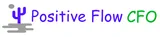 Positive Flow CFO LLC