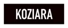 Koziara Digital Consulting