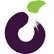 Plum POS
