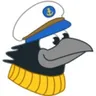 Crafty Crow