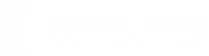 Spiral Scout