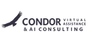 Condor Virtual Assistance & AI Consulting