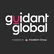Guidant Global