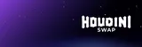 Houdini Swap