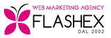 Flashex Web Agency