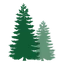 Forest Systems