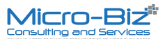 Micro-Biz Consulting & Services