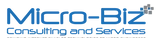 Micro-Biz Consulting & Services