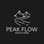 Peak Flow Solutions