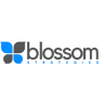 Blossom Strategies