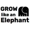 Grow Like An Elephant